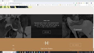 CSS Card Hover Animation in Squarespace 71 [upl. by Materse486]