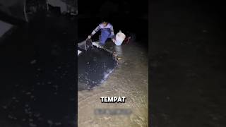 Orang ini menangkap ikan dari kolam pada malam hari😱 shortsvideo [upl. by Asante787]