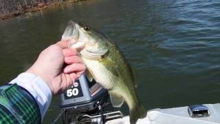 Fishing SHALLOW on Lake Guntersville For Pre Spawn Bass [upl. by Orit]