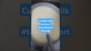 curdled 🥛 milk process love music shortsubscribe subscribe tasty food [upl. by Dreeda]