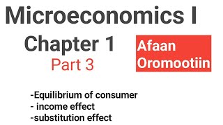 Equilibriums of consumer Microeconomics I Chapter 1 part 3 Fortino Academics [upl. by Dominique]