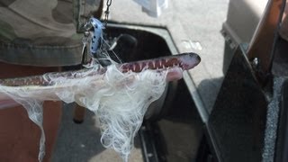 How to make a gar fishing lure or rope lure [upl. by Arihsa]