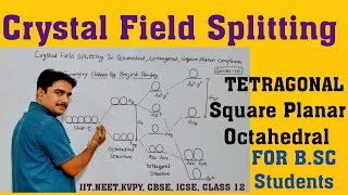 Square Planar Tetragonal Crystal Field Splitting In Coordination chemistrylecture16Class12BSc [upl. by Neufer320]