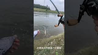 Amazing fishing 🎣 shorts fishing fish shortsfeed [upl. by Asiral]