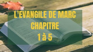 Lecture de la Bible Marc Chapitre 1 à 5 [upl. by Bilac]