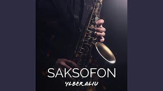 Saksofon [upl. by Llemart]