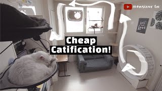 4 Ideas for Catification Catify on a Budget [upl. by Hoy589]