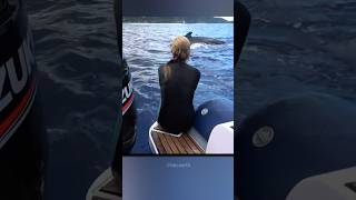 Brave Whale Saves Woman From Shark Attack😍 [upl. by Elvia]