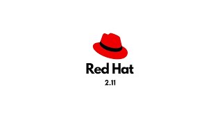 RedHat Academy 211 Lab  Podman Basics [upl. by Jami520]