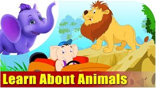 Lets Learn About Animals  Preschool Learning [upl. by Tat550]