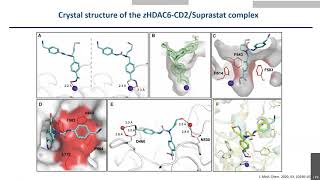 How Protein Acetylation Modulates Immune Response Against Melanoma  Azure Webinars [upl. by Janine724]