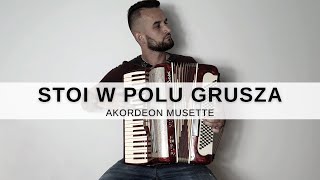 STOI W POLU GRUSZA  AKORDEON MUSETTE [upl. by Fransisco]