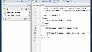 Komodo Edit Tutorial [upl. by Onofredo]