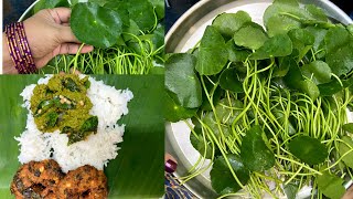 வல்லாரை கீரை துவையல்Vallarai Keerai ThuvaiyalBrahmi Leaves Chutney Recipe [upl. by Sinegold806]