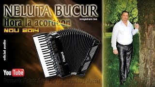 NELUTA BUCUR  Hora la acordeon live audio [upl. by Rosmarin]