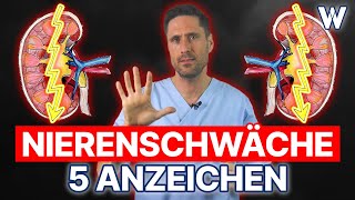 Nierenschwäche 5 Anzeichen dass Deine Nieren nicht richtig funktionieren  Typische Symptome [upl. by Eniad]