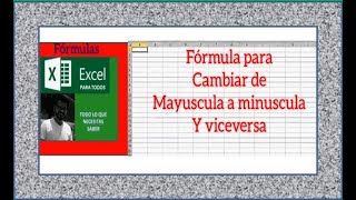 Cambiar letras de mayúsculas a minúsculas excel para todos y todas [upl. by Rosio]