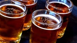 Why starting a craft brewery is a bad idea [upl. by Janella245]