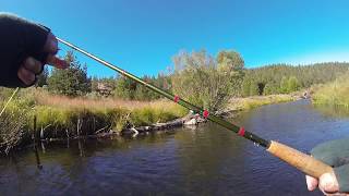 Little Truckee Dry Fly Action 9 23 17 [upl. by Iknarf]