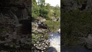 Linton Falls River Wharfe Grassington North Yorkshire Dales Full Virtual Walking Tour Guide UK 🇬🇧 [upl. by Lekim659]