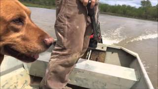 GoDevil vs Beaver Dam Mud Runner Longtail 65HP [upl. by Oiril]