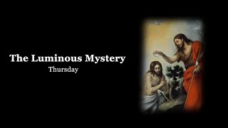 The Rosary with Scripture Sorrowful Mysteries Tuesdays amp Fridays [upl. by Aileda]