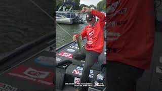 2024 MLF General Tire Team Series  MOTV Moments [upl. by Adiaros515]