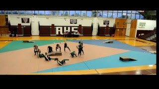 Radnor Winter Guard at Abington April 2 2016 [upl. by Llertrac]