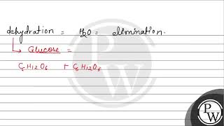 A dehydration reaction links two glucose molecules to produce maltose If the formula for glucos [upl. by Weitzman31]