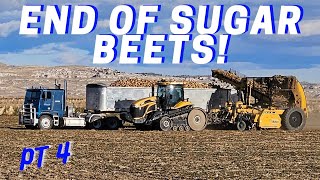 End of sugar beet harvest [upl. by Mccartan]