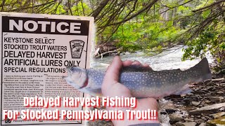 Delayed Harvest Fishing for Stocked Pennsylvania Trout [upl. by Squire]