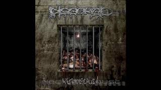 Disgorge Mex  Necrholocaust Full Album [upl. by Bahe]