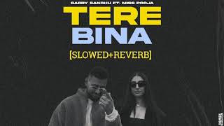 Tere Bina  Garry sandh Ft Miss Pooja  new Punjabi lofi song  slowed reverb [upl. by Sondra]