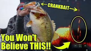 UNBELIEVABLE Double Digit Bass Eating Crankbaits on LiveScope No ones EVER seen this [upl. by Yrok]