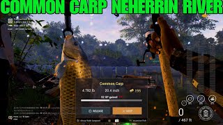 Common Carp Guide  At Neherrin River  Fishing Planet [upl. by Nahtnaoj]