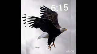 eiye jorjor happy 615 to all rugged airlord worldwide 💙❤️💛🦅🦅 entertainment edit explore [upl. by Salvatore355]