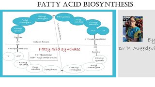 Fatty acid biosynthesis in Tamil [upl. by Cass]