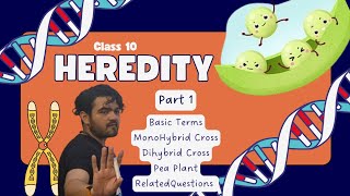 Class X Heredity Part 1 MonoDiHybrid Cross [upl. by Asinet]