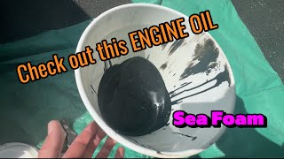 Sea Foam in my Diesel engine oil Does it make it better or worse seafoam diesel toyota [upl. by Nlycaj]