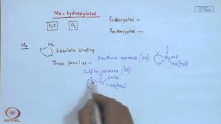 Mod22 Lec22 Molybdenum Enzymes  I [upl. by Baten20]