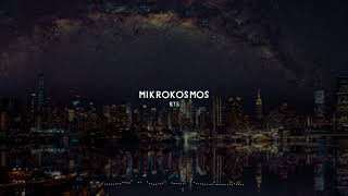 BTS 방탄소년단  Mikrokosmos 소우주 Symphony Orchestra Cover 20 [upl. by Rees]