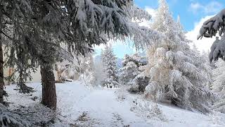 Winterwonderland Rosswald Oberwallis [upl. by Ellenoj]