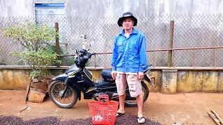 Đi bắt mối chúa cùng chiếc xe 10 năm tuổi finding the termite queen with the 10yearold bike [upl. by Yllop]