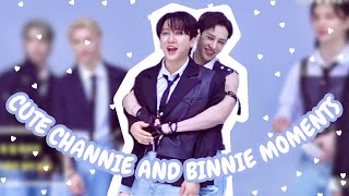 Bang Chan and Changbin cute moments [upl. by Bern]