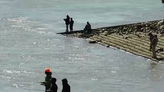 Shad Fishing At Weldon Boat Ramp Roanoke river Weldon NCRockfish Capital Of the World [upl. by Sidonius]