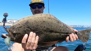 They are Biting  San Diego Bay [upl. by Borchers]