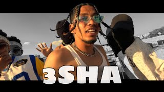 PAAL DABBA  3SHA  Official Music video [upl. by Aunson859]