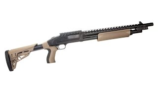 NRA Gun of the Week Mossberg 500 ATI Scorpion Shotgun [upl. by Michiko]