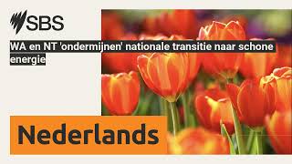 WA en NT ondermijnen nationale transitie naar schone energie  SBS Dutch  SBS Nederlands [upl. by Keene]