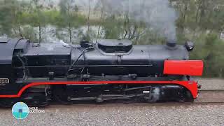 Steam Locomotive R766  The Picnic Train  Waratah to Maitland  October 2022 [upl. by Nedah872]